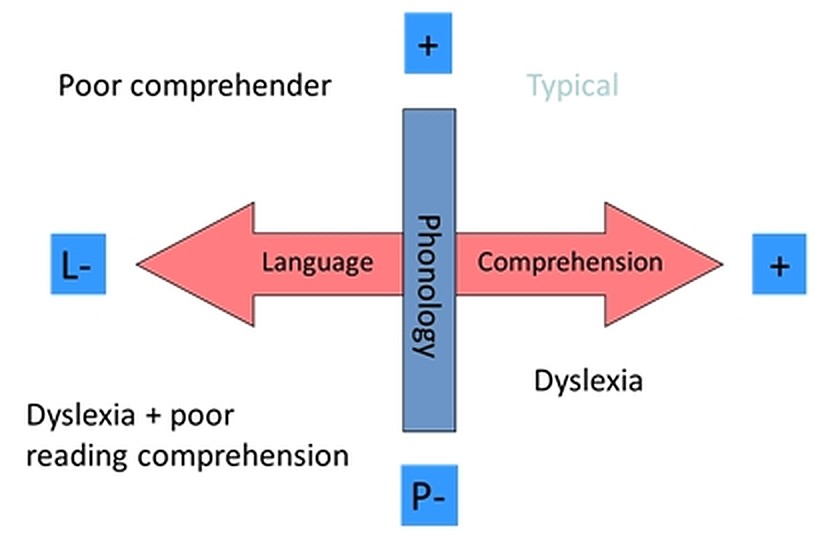 Livescribe Smartpen - Yale Dyslexia